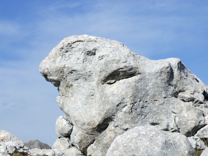 Sculture naturali